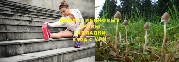 spice Новый Уренгой
