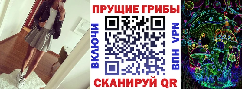 Галлюциногенные грибы Psilocybe закладка Барыш